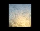 動画#48：Vine動画集