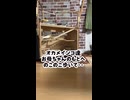 このオカメインコ酷いｗお母ちゃん待ってね❤️…からの華麗なガン無視。