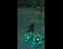 【ティアキン】キョシツウの根付近のイワロック ゼルダの伝説ティアーズオブザキングダム