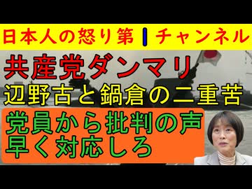 党員から続々と非難の声【共産党が二重苦でだんまり】辺野古としばき隊鍋倉問題で動きの取れない共産党はどうする？