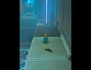 【 BotW 】 暴れーザー ( Rampaging laser device )【 ドリカラ 】ショート動画