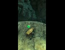 【ティアキン】ウウユジョジの根付近のライネル　ゼルダの伝説ティアーズオブ ザキングダムNintendo Switch 2 Edition