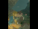 【 BotW 】 誘惑される英傑 ( Temptation )【 ドリカラ 】ショート動画