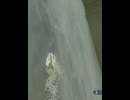 【 BotW 】 寒い！痛い！！ ( My body is freezing... I mean, I hit my head! )【 ドリカラ 】ショート動画