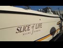 SLICE of LIFE