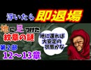 地に足つけたファイアーエムブレム紋章の謎　第２部１２・１３章
