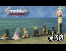 つながる未来　ゼノブレイド実況#30