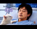 ドクター善哉深夜診療所「運命」