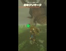 【ティアキン】キビナ湖南の雷電グリオーク ゼルダの伝説ティアーズオブザキングダムNintendo Switch 2 Edition