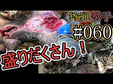 狩猟勢子動画＃060　盛りだくさん！