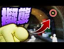 『ライト』に『完璧な擬態』をして隠れるかくれんぼゲーム【めっちゃカメレオン】