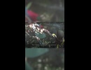【エンドフィールド】ちょっとだけ失礼な管理人
