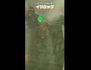 【ティアキン】グチニザ平原のイワロック　ゼルダの伝説ティアーズ オブザキングダムNintendo Switch 2 Edition