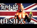 短小砲HESH式
