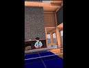【VR卓球】お互いビビった奴