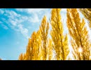 Reflect -PianoArrange-