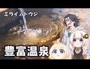豊富温泉（ミライノトウジ）