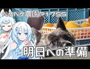 2026年6月13日　日記1755　明日に向けての準備中