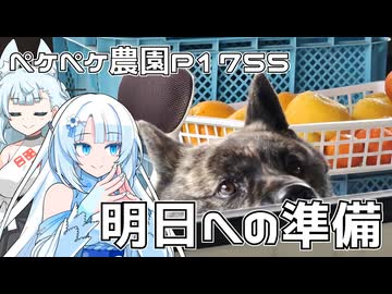 2026年6月13日　日記1755　明日に向けての準備中