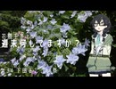 【自転車車載】花隈千冬と週末何してますか？　＃34 下田あじさい祭