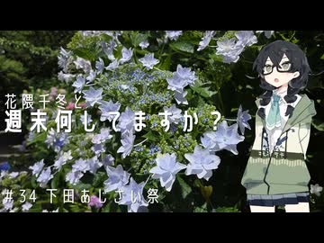 【自転車車載】花隈千冬と週末何してますか？　＃34 下田あじさい祭