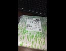 YMDD_454　イオン＿トミスミート：国産牛肉切り落とし（473円／g）で焼肉