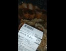 YMDD_468　ピアゴ＿カネ美食品：ロースかつ弁当／ソース（黒舞茸ご飯）
