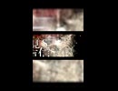 スーサイドパレヱド 歌ってみた【MtaM】