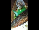 YMDD_473　本家かまどや：さば炭火焼き弁当