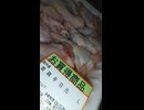 YMDD_480　バロー：若鶏手羽元で煮物【山田飯】