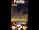 振り返ったら【PEAK】