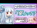 あおいの名前を調べてみたで【琴葉姉妹】