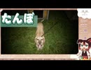 【たんぼ】#01(完) 犬の散歩がしたかっただけの小市民[配信再録'25]