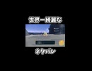 世界一綺麗なネタバレ