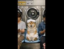 異世界コント　１５