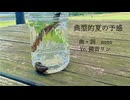 典型的夏の予感【Vo.鏡音リン】
