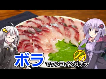 買った魚は最後まで　１４回　ボラのお造りと辛子酢味噌【VOICEROIDキッチン】
