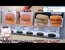 ハンバーガーの自販機!行きたい!!【車載】