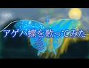 アゲハ蝶を少しだけ歌ってみた 愛賀みちた(cover)