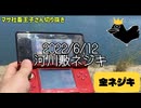 【マサネジキ】河川敷ネジキ【2022/6/12】