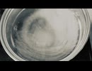 6月14日 スパゲッティを作る