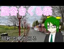 【10秒で見て回る】平日の熊谷さくらまつり【第六回10秒動画祭】