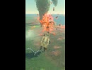 【ティアキン】ウボッツ台地付近　急に現れるイーガ団団員　ゼルダの伝説ティアーズ オブ ザ キングダムNintendo Switch 2 Edition