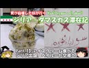 シリア・ダマスカス滞在記 2025 Part.13 アイスクリームを食べてシリア出国→ベイルート空港