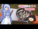琴葉姉妹と行く釣行記録（海釣り編part48）