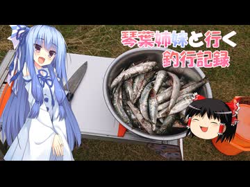 琴葉姉妹と行く釣行記録（海釣り編part48）