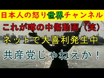 これは噂の中傷動画なのか？真実はいかに？