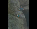 【 BotW 】 どこへ行こうというのだね ( Hahaha! Where are you going )【 ドリカラ 】ショート動画