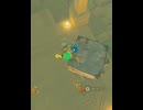 【 BotW 】暴力の連鎖 ( Chain of violence )【 ドリカラ 】ショート動画