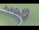 【関テレ版・勝利騎手インタビュー付き】2026年宝塚記念